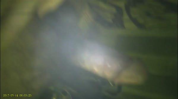 91约约哥-番号JM09：高级会所啪啪情趣内衣大长腿高跟小姐720P高清无水印